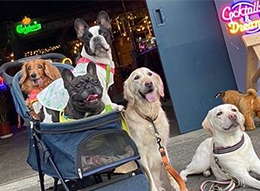 室内ドッグラン併設